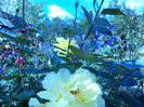 DSC02286