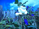 DSC02289