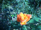 DSC02292