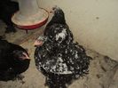 DSC00182
