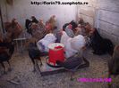 COCHIN PITIC SERIA 3 DE PUI