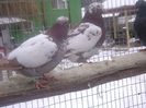 DSC08705