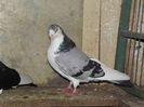 PC010440