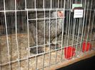 IMG_1779