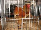 IMG_1837