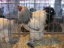 IMG_1846