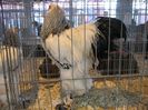IMG_1847