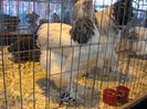 IMG_1855