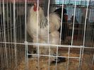 IMG_1859