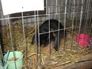 IMG_1871