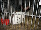 IMG_1876
