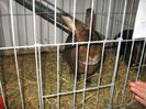 IMG_1880
