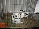 IMG_1882
