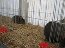 IMG_4681