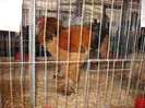 IMG_1889
