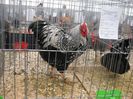 IMG_1902