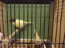 DSCF4558
