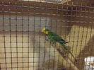DSCF4576