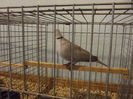 DSCF4581