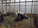 DSCF4640