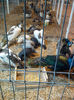 IMG_20131215_105829