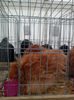 IMG_20131215_113626