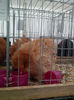 IMG_20131215_113630