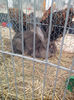 IMG_20131215_133033