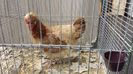 20131215_095832(0)