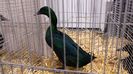 20131215_101240