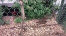20131215_103136