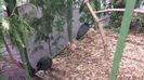 20131215_103314