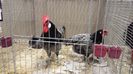 20131215_103540