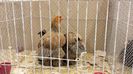 20131215_103624