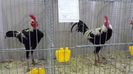 20131215_104721