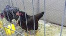 20131215_104836