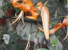 P7240076
