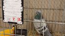 20131215_113353