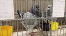 20131215_114945