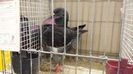 20131215_115107