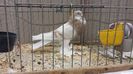 20131215_124227