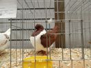 DSCN0477