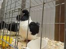 DSCN0479