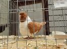 DSCN0501