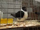 DSCN0514