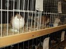DSC02957