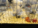Picture 131