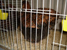 SDC13132