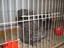 SDC13292