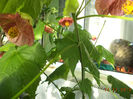 DSC02349